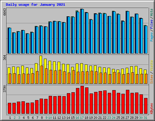 Daily usage for January 2021