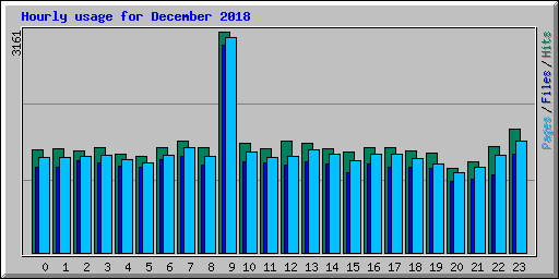 Hourly usage for December 2018