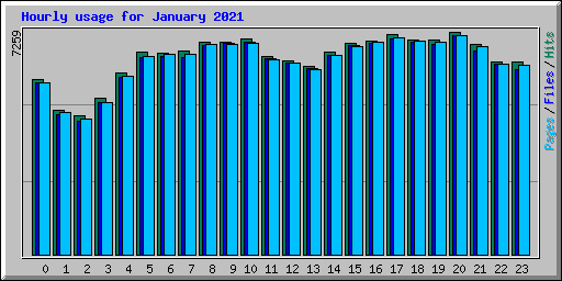 Hourly usage for January 2021