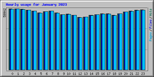 Hourly usage for January 2023