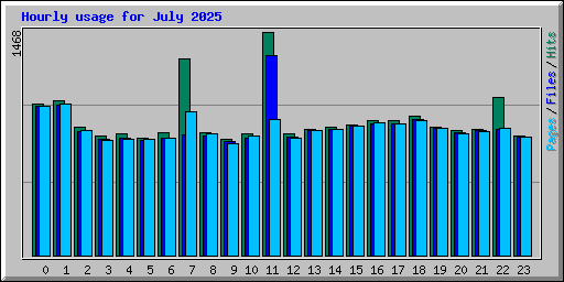 Hourly usage for July 2025