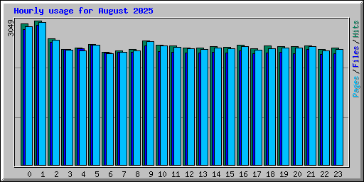 Hourly usage for August 2025